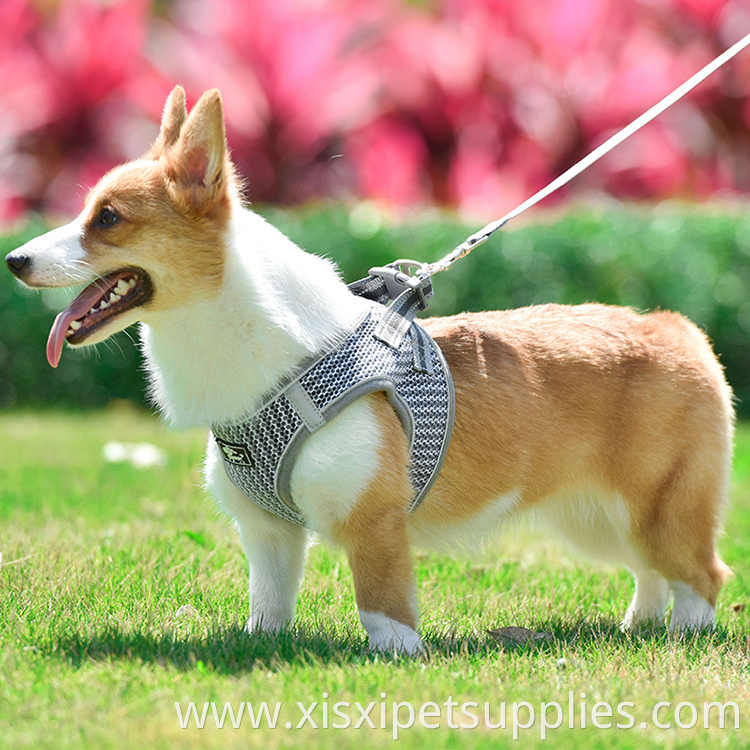Cute Pet Cat Dog Backpack Harness and Leash Set for Small Dogs Cats